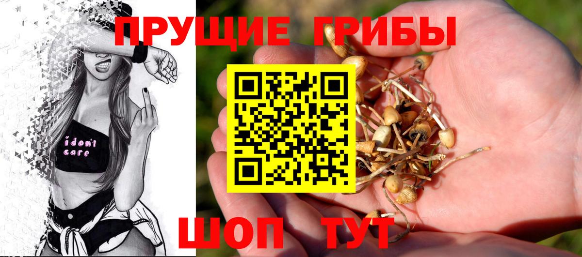 Красногорск  Галлюциногенные грибы Psilocybe  Вход с VPN  Галлюциногенные грибы Cubensis 